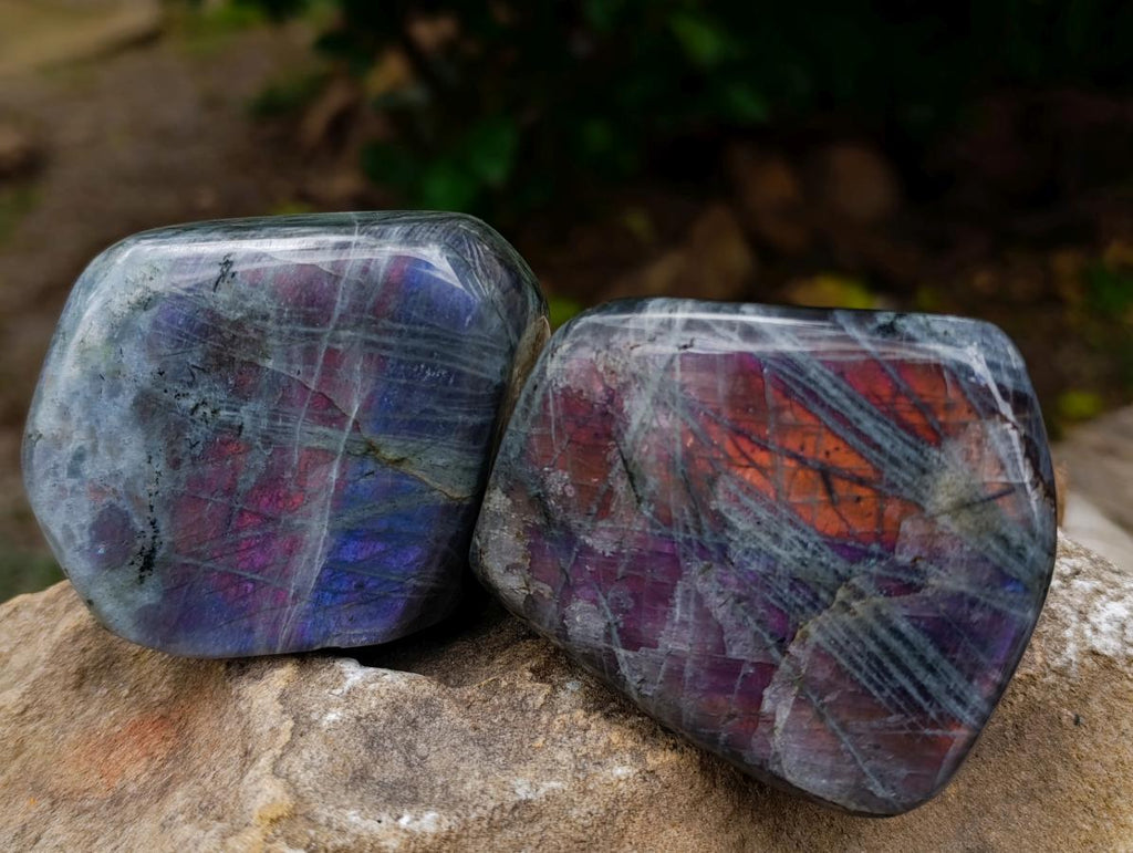 Polished Rare Purple Sunset Flash Labradorite Standing Free Forms x 4 From Madagascar
