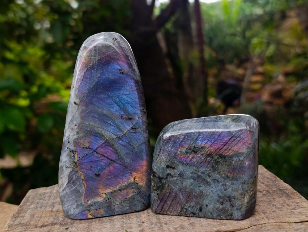 Polished Rare Purple Sunset Flash Labradorite Standing Free Forms x 4 From Madagascar