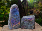 Polished Rare Purple Sunset Flash Labradorite Standing Free Forms x 4 From Madagascar