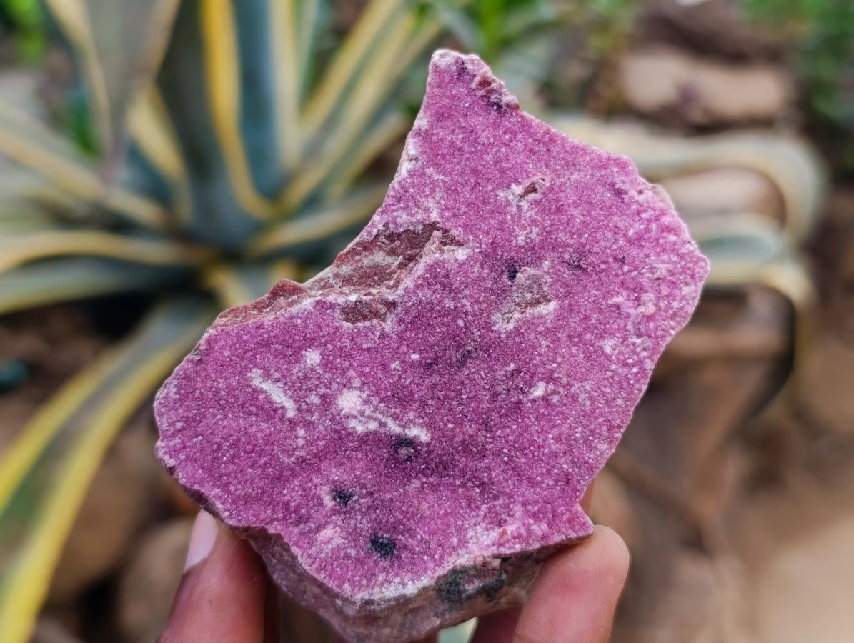 Natural Salrose Cobaltion Dolomite Specimens with Silky Malachite Crystals x 6 From Kakanda, Congo