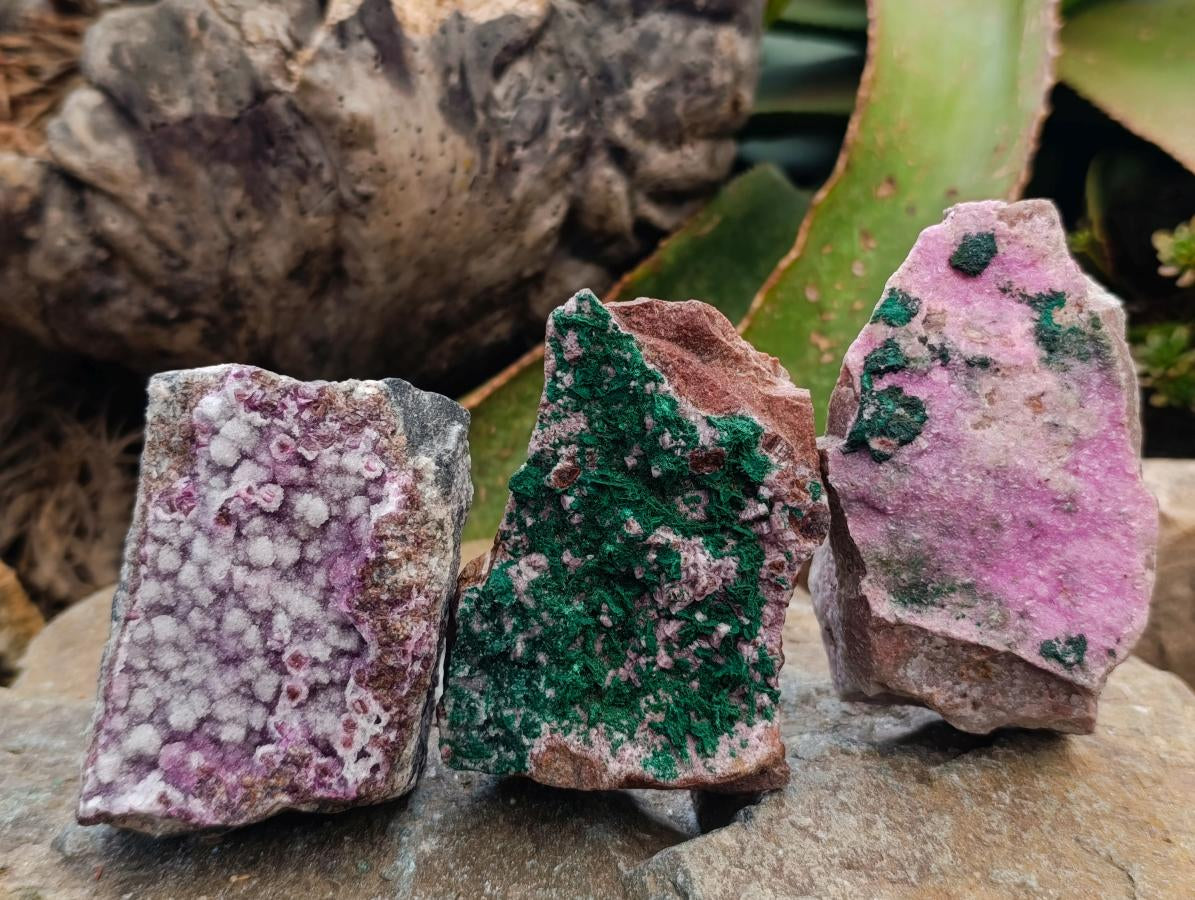 Natural Salrose Cobaltion Dolomite Specimens with Silky Malachite Crystals x 6 From Kakanda, Congo