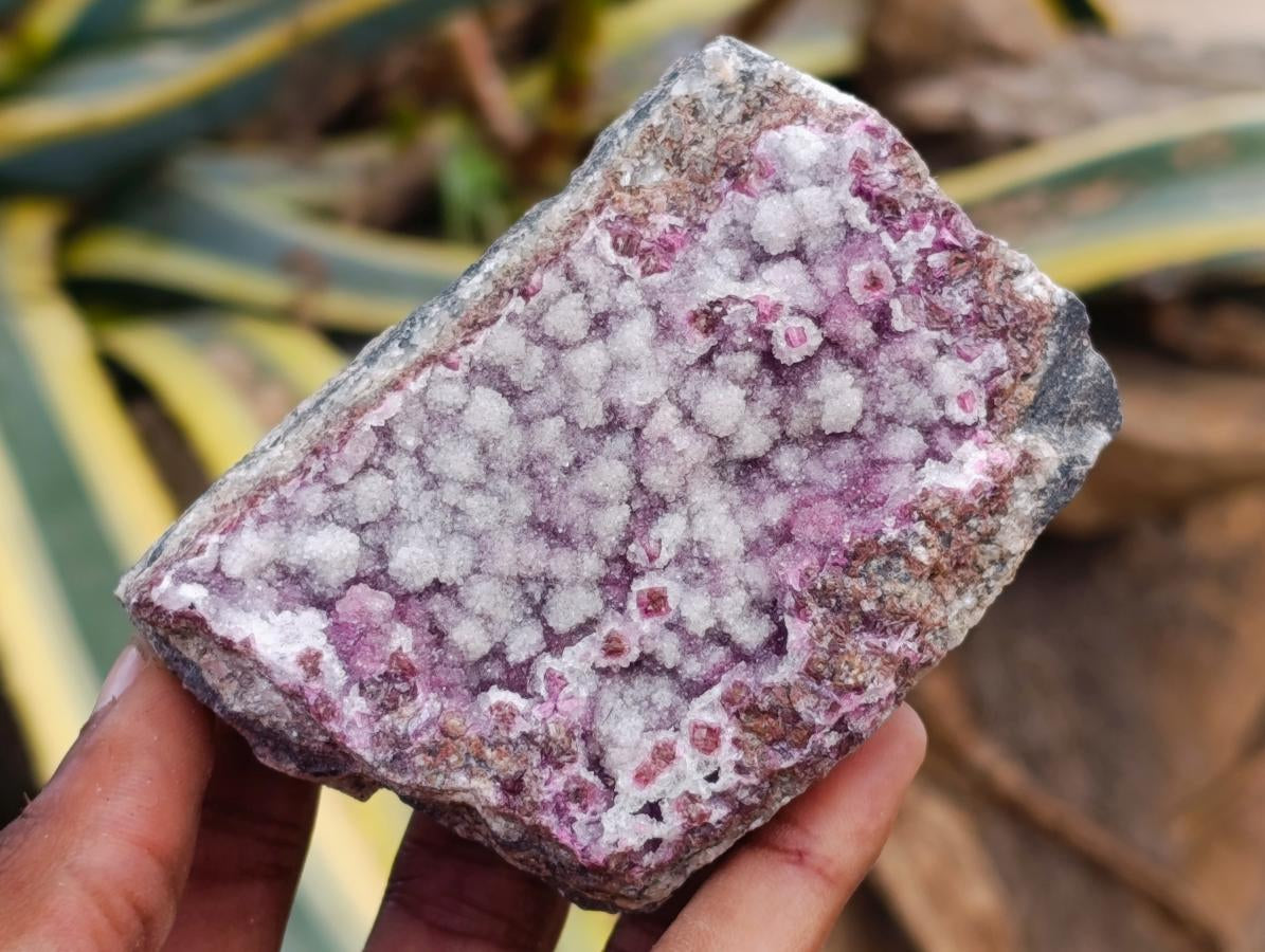 Natural Salrose Cobaltion Dolomite Specimens with Silky Malachite Crystals x 6 From Kakanda, Congo