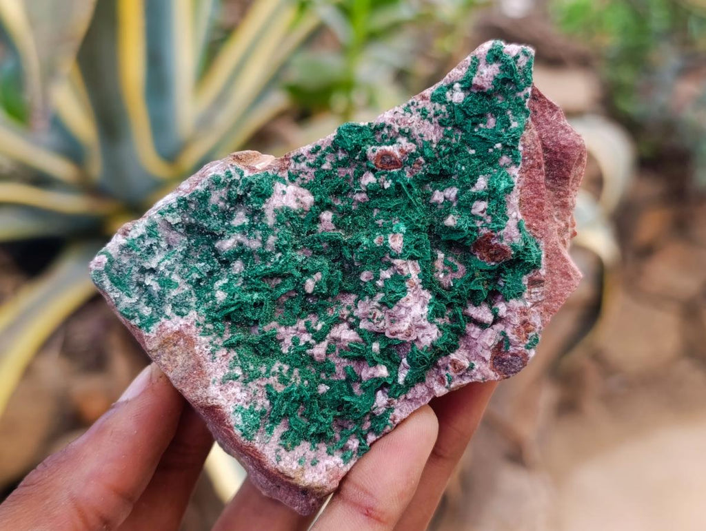 Natural Salrose Cobaltion Dolomite Specimens with Silky Malachite Crystals x 6 From Kakanda, Congo