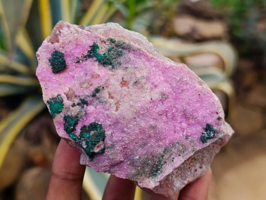 Natural Salrose Cobaltion Dolomite Specimens with Silky Malachite Crystals x 6 From Kakanda, Congo
