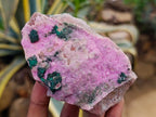 Natural Salrose Cobaltion Dolomite Specimens with Silky Malachite Crystals x 6 From Kakanda, Congo