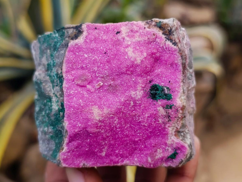 Natural Salrose Cobaltion Dolomite Specimens with Silky Malachite Crystals x 6 From Kakanda, Congo