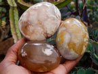 Polished Flower Agate Palm Stones x 12 From Antsahalova, Madagascar