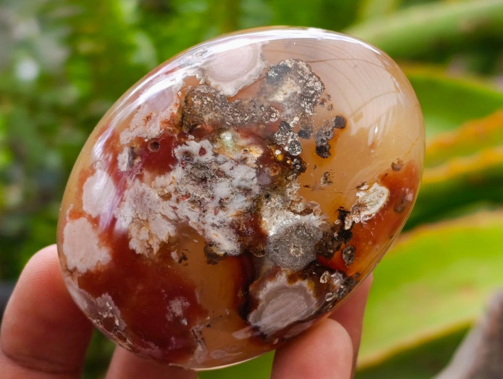 Polished Flower Agate Palm Stones x 12 From Antsahalova, Madagascar