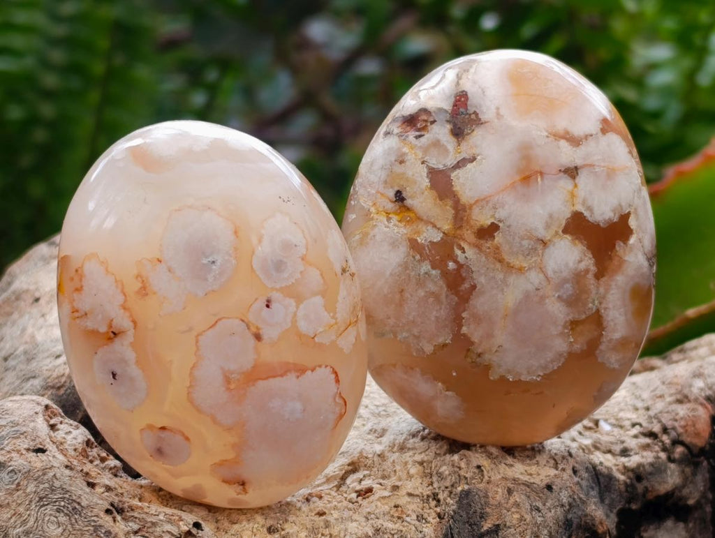 Polished Flower Agate Palm Stones x 12 From Antsahalova, Madagascar