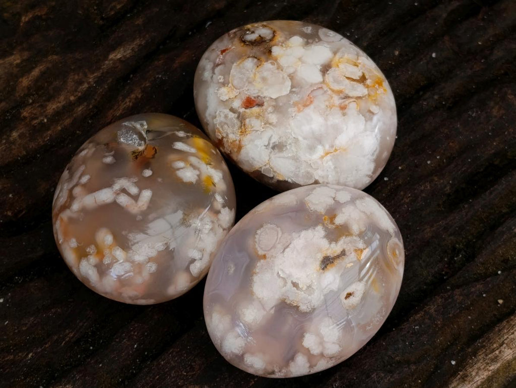 Polished Flower Agate Palm Stones x 12 From Antsahalova, Madagascar
