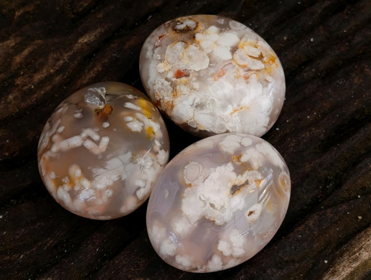 Polished Flower Agate Palm Stones x 12 From Antsahalova, Madagascar