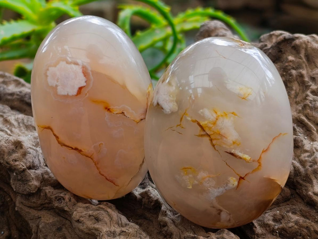 Polished Flower Agate Palm Stones x 12 From Antsahalova, Madagascar