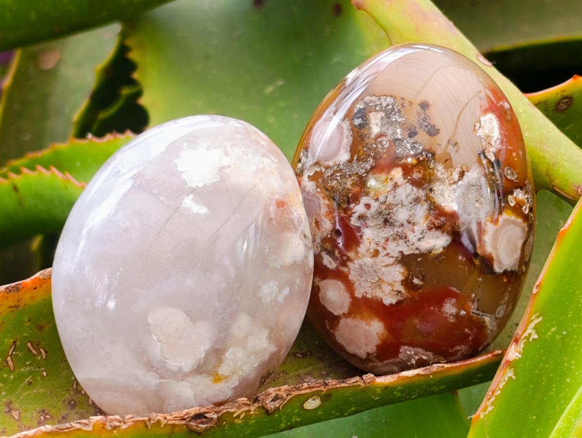 Polished Flower Agate Palm Stones x 12 From Antsahalova, Madagascar