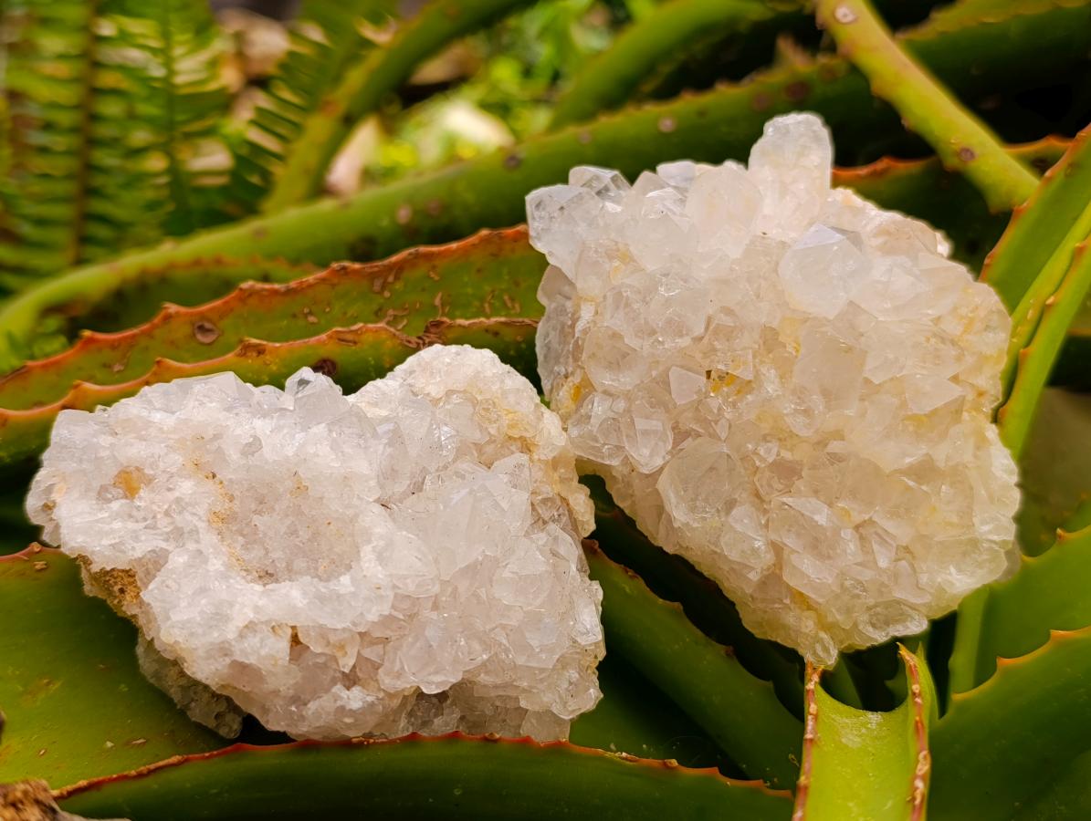 Natural Solwezi Quartz Plate Specimens x 12 From Solwezi, Zambia