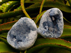 Natural Blue Celestite Geode Cluster Specimens x 2 From Sakoany, Madagascar