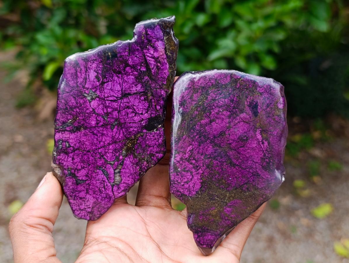 Polished On One Side Metallic Purpurite Specimens x 6 From Erongo Namibia