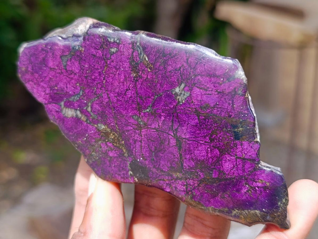 Polished On One Side Metallic Purpurite Specimens x 6 From Erongo Namibia