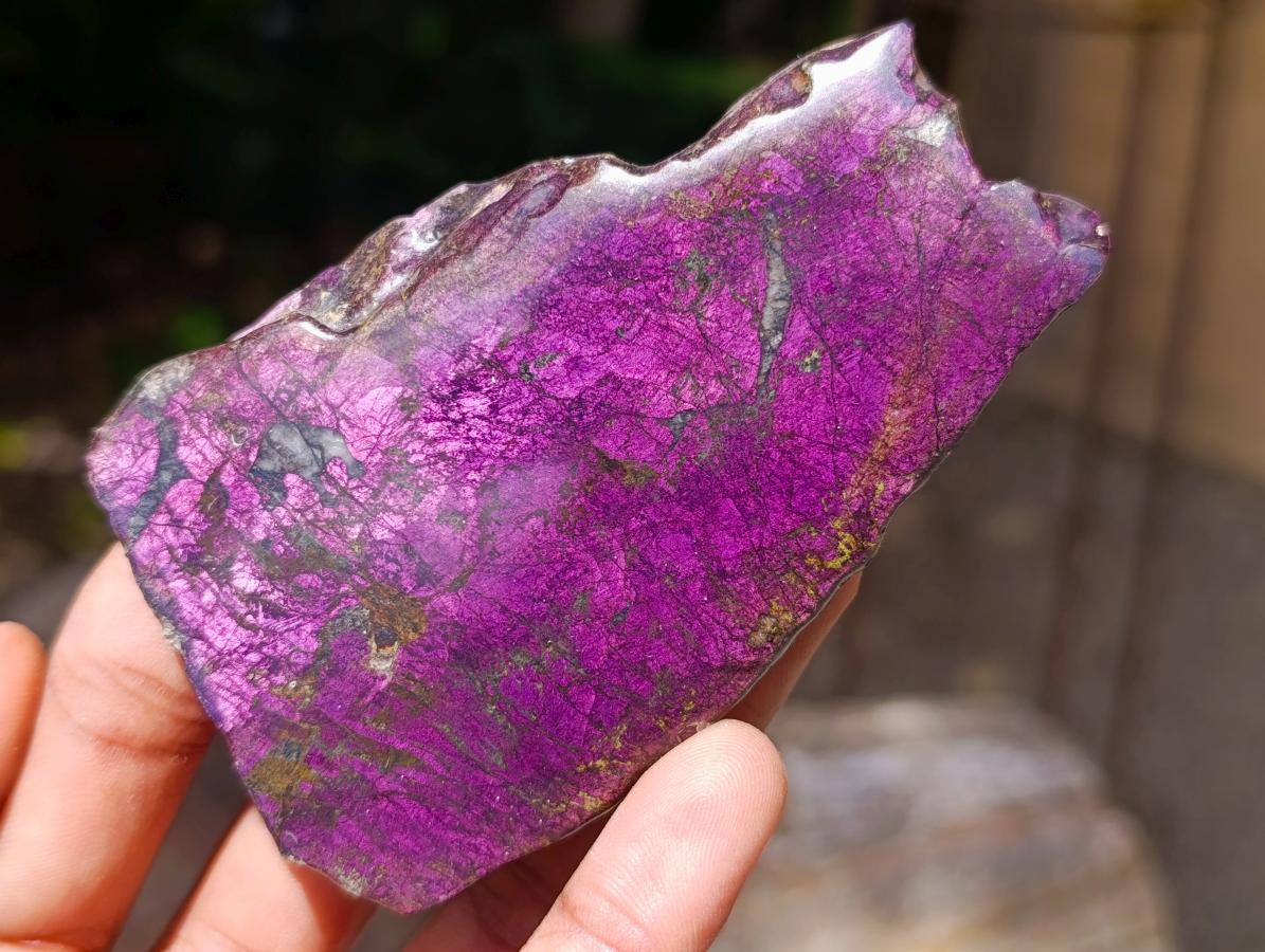 Polished On One Side Metallic Purpurite Specimens x 6 From Erongo Namibia