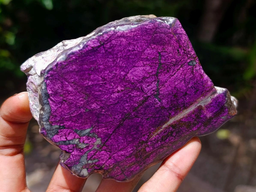 Polished On One Side Metallic Purpurite Specimens x 6 From Erongo Namibia