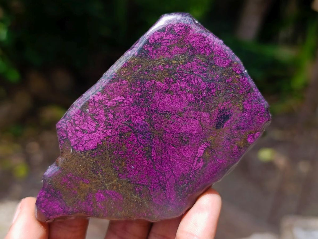 Polished On One Side Metallic Purpurite Specimens x 6 From Erongo Namibia