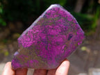 Polished On One Side Metallic Purpurite Specimens x 6 From Erongo Namibia