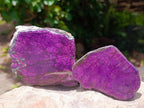 Polished On One Side Metallic Purpurite Specimens x 6 From Erongo Namibia