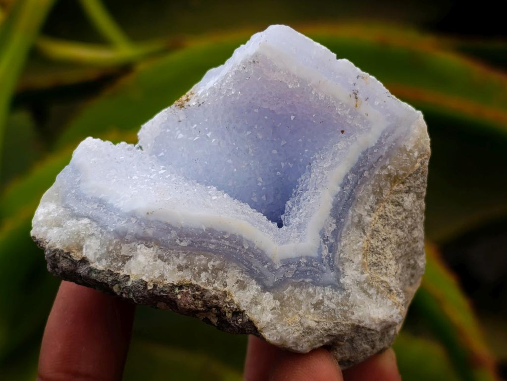 Natural Blue Lace Agate Geode Specimens x 12 From Nsanje, Malawi