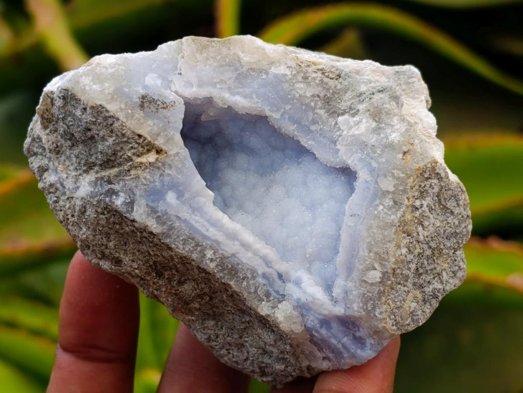 Natural Blue Lace Agate Geode Specimens x 12 From Nsanje, Malawi