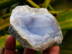 Natural Blue Lace Agate Geode Specimens x 12 From Nsanje, Malawi