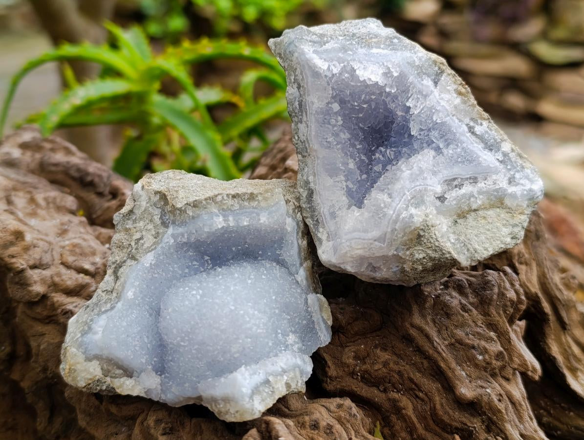 Natural Blue Lace Agate Geode Specimens x 12 From Nsanje, Malawi