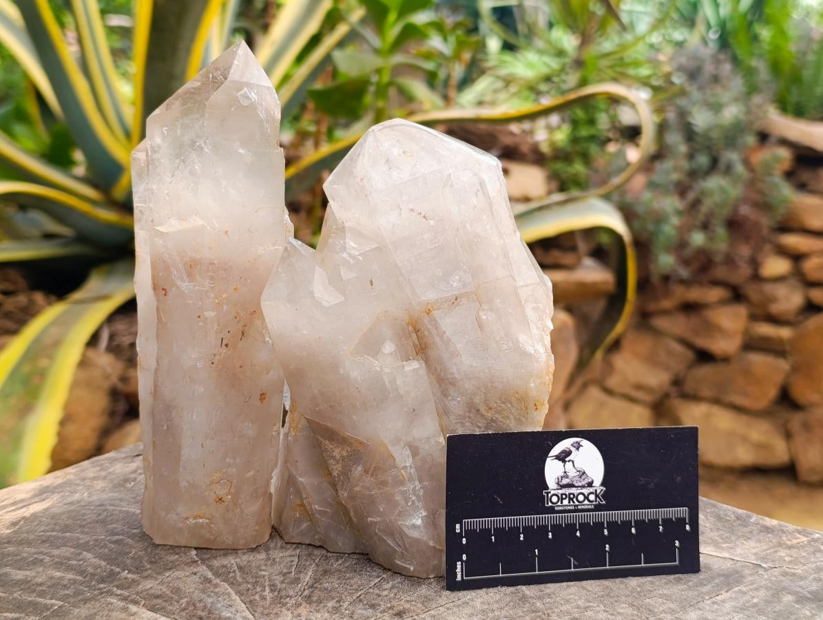 Polished Large Smokey Quartz Crystals x 2 From Angola