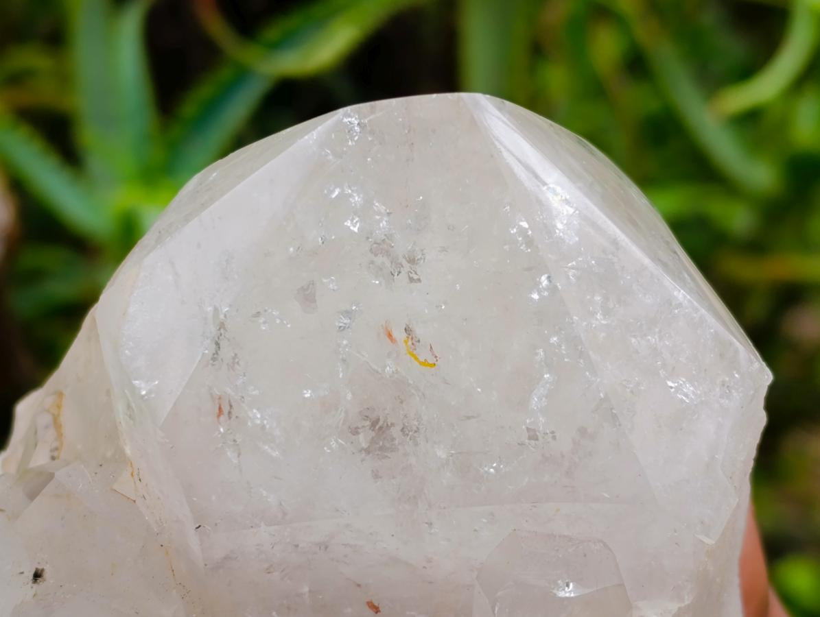 Polished Large Smokey Quartz Crystals x 2 From Angola