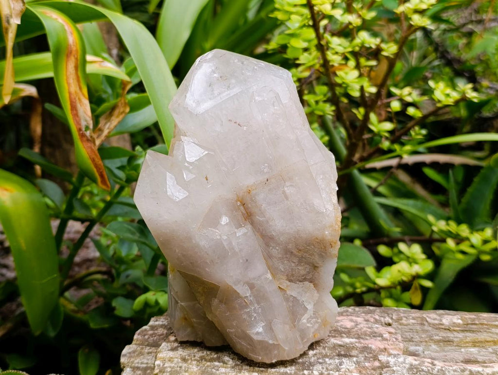Polished Large Smokey Quartz Crystals x 2 From Angola