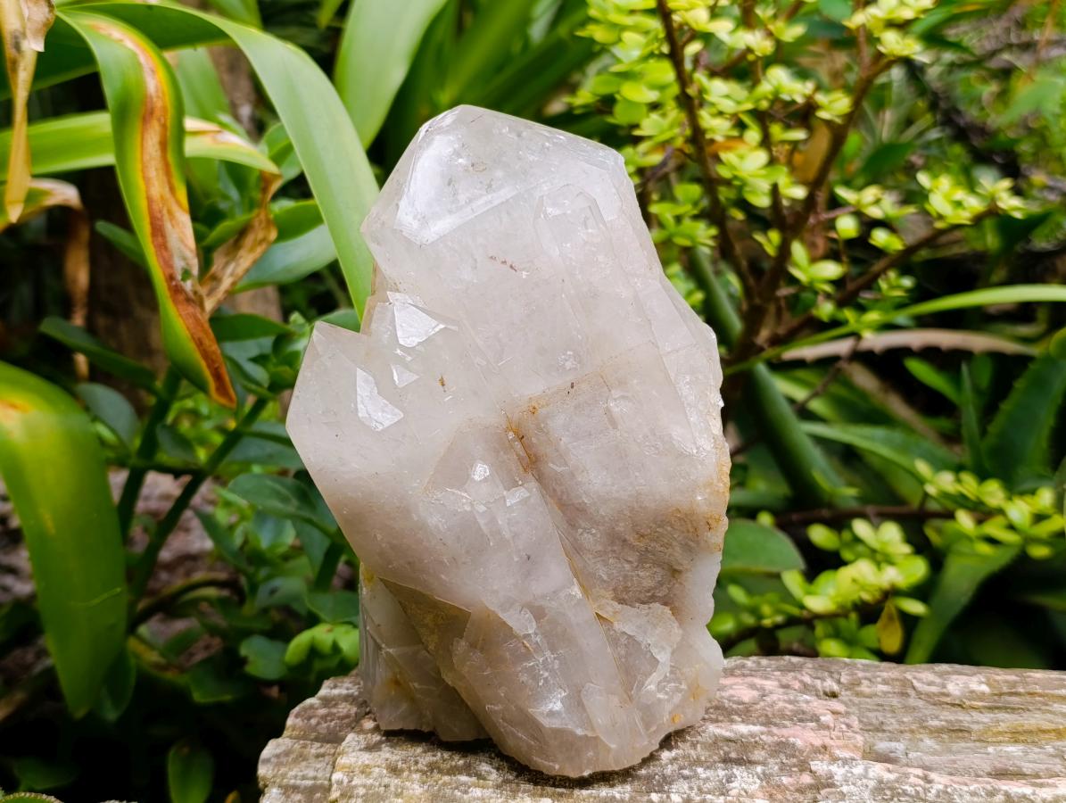 Polished Large Smokey Quartz Crystals x 2 From Angola
