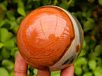 Polished Polychrome Jasper Spheres x 3 From NW Coast, Madagascar