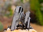 Natural Aegirine and Orthoclase Specimens x 12 From Zomba, Malawi