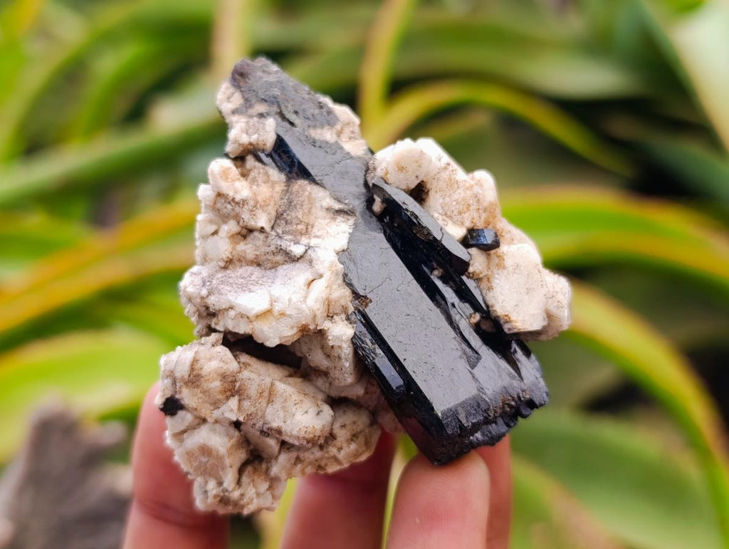 Natural Aegirine and Orthoclase Specimens x 12 From Zomba, Malawi