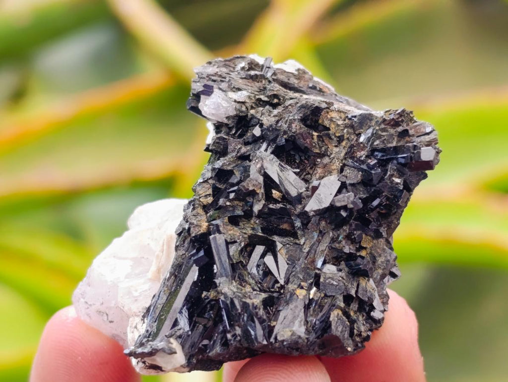 Natural Aegirine and Orthoclase Specimens x 12 From Zomba, Malawi