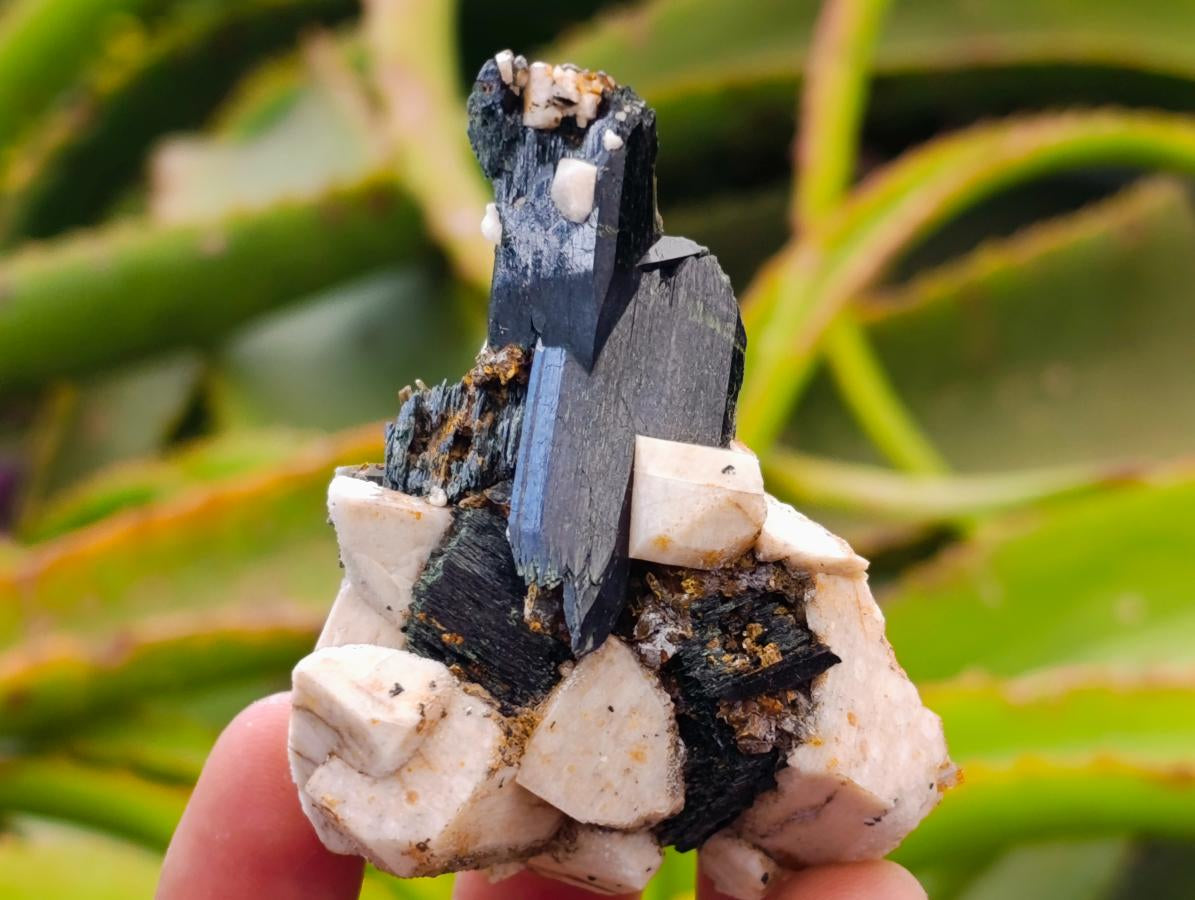 Natural Aegirine and Orthoclase Specimens x 12 From Zomba, Malawi