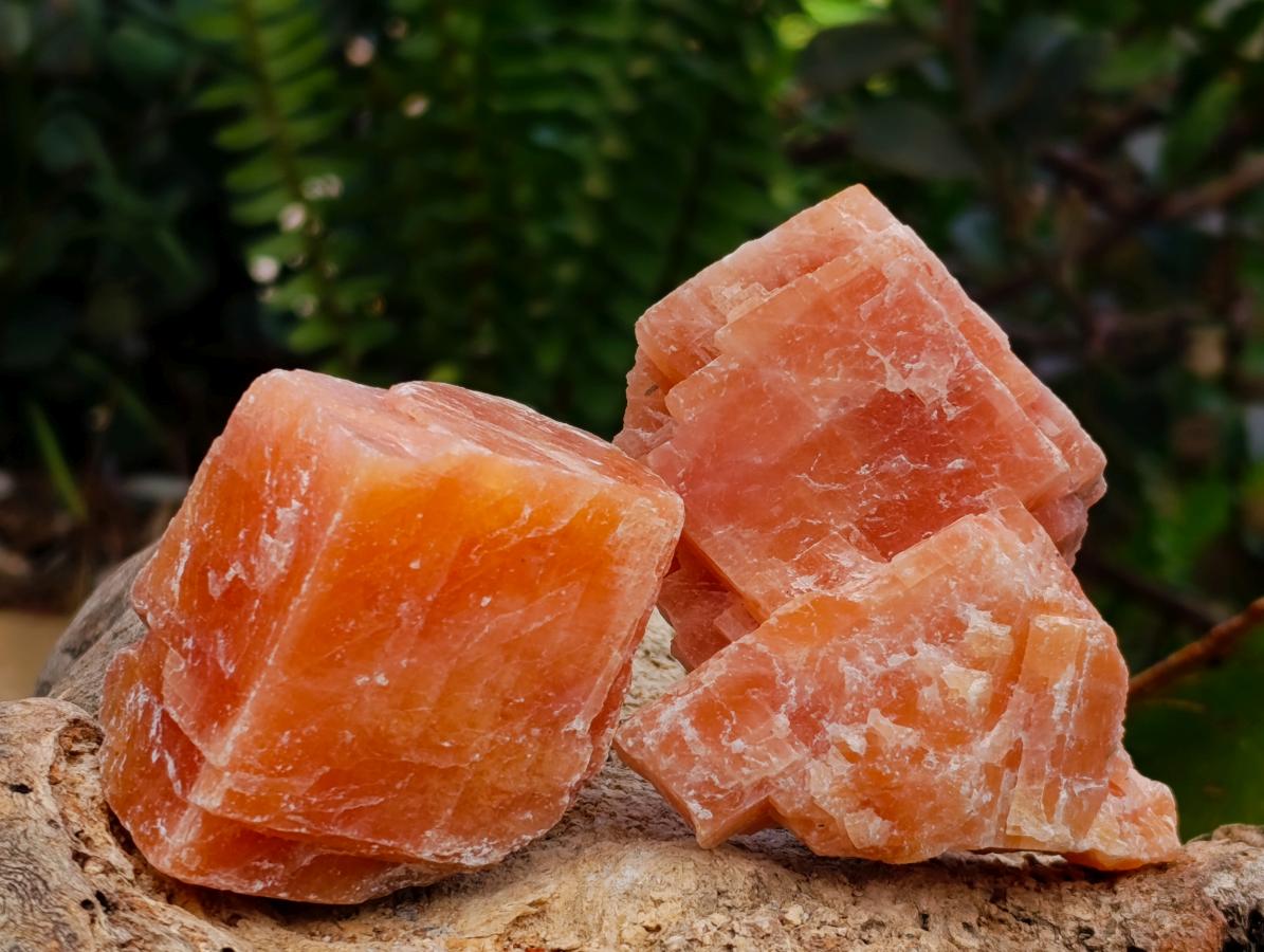 Natural Rhombohedral Sunset Orange Calcite Specimens x 24 From Spitzkop, Namibia