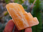 Natural Rhombohedral Sunset Orange Calcite Specimens x 24 From Spitzkop, Namibia