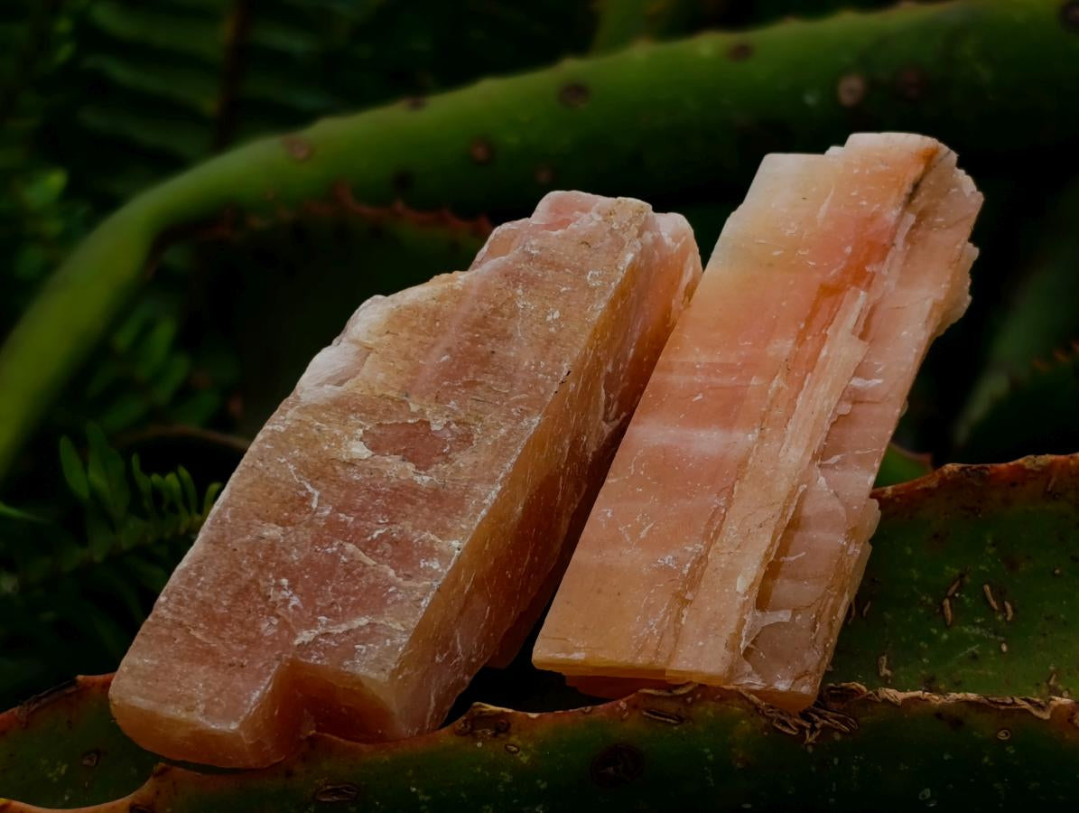 Natural Rhombohedral Sunset Orange Calcite Specimens x 24 From Spitzkop, Namibia