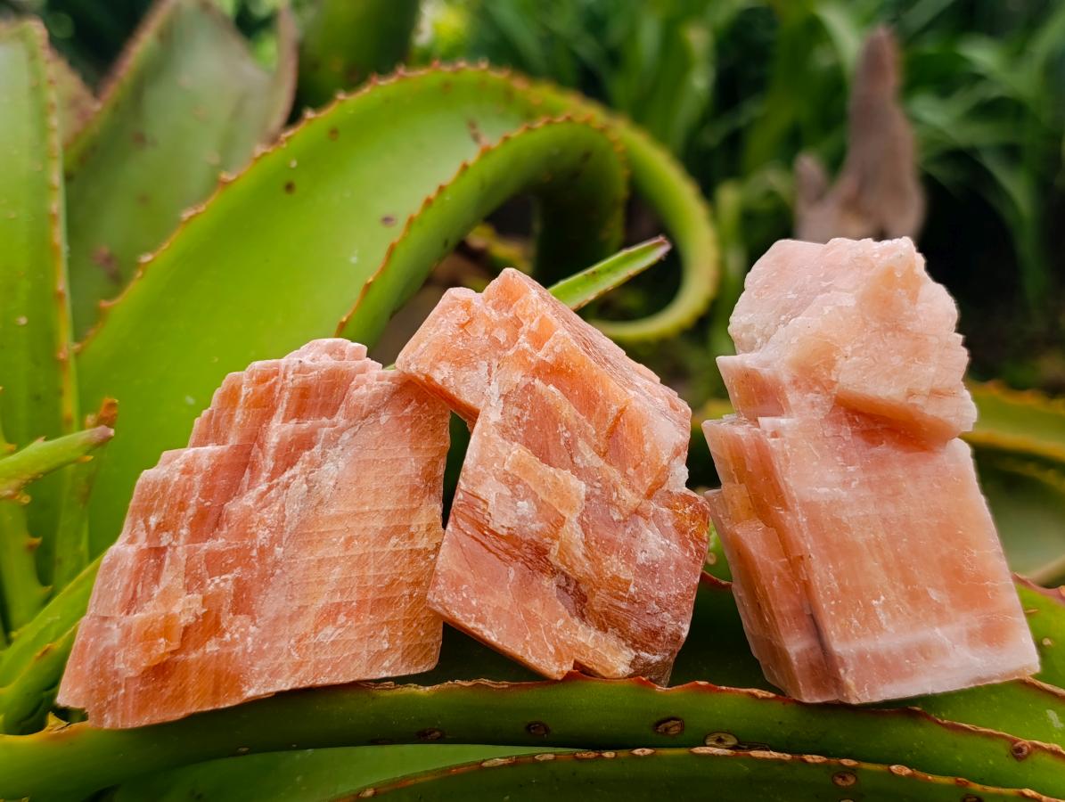 Natural Rhombohedral Sunset Orange Calcite Specimens x 24 From Spitzkop, Namibia
