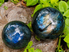 Polished Labradorite Spheres x 4 From Madagascar