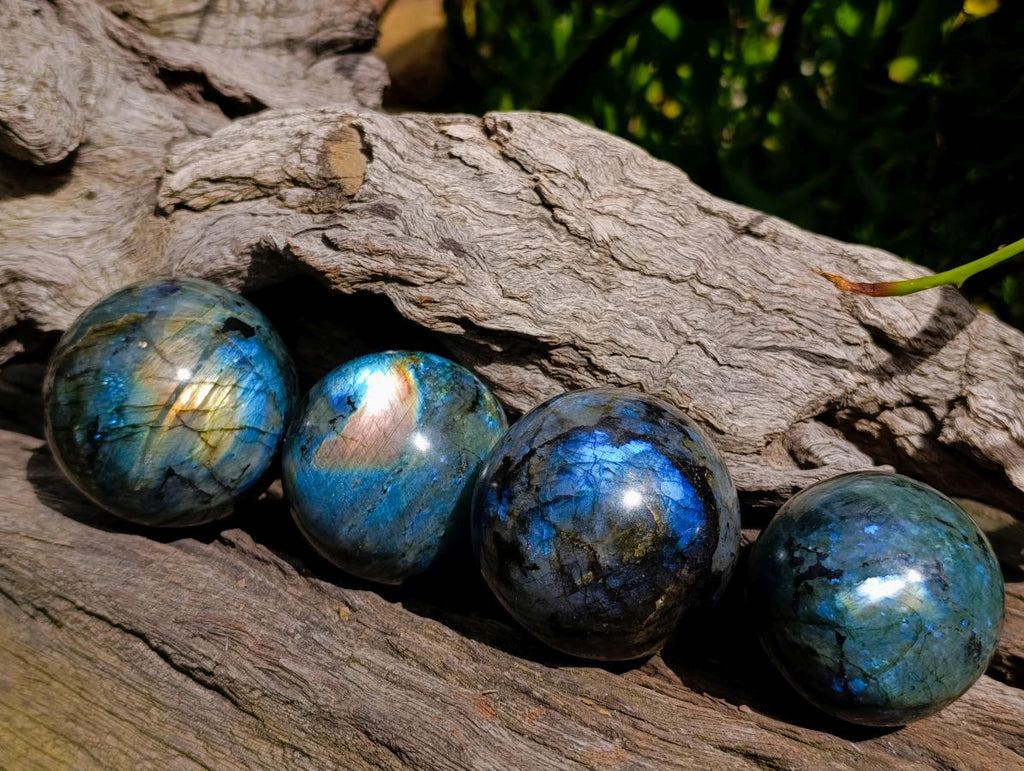 Polished Labradorite Spheres x 4 From Madagascar
