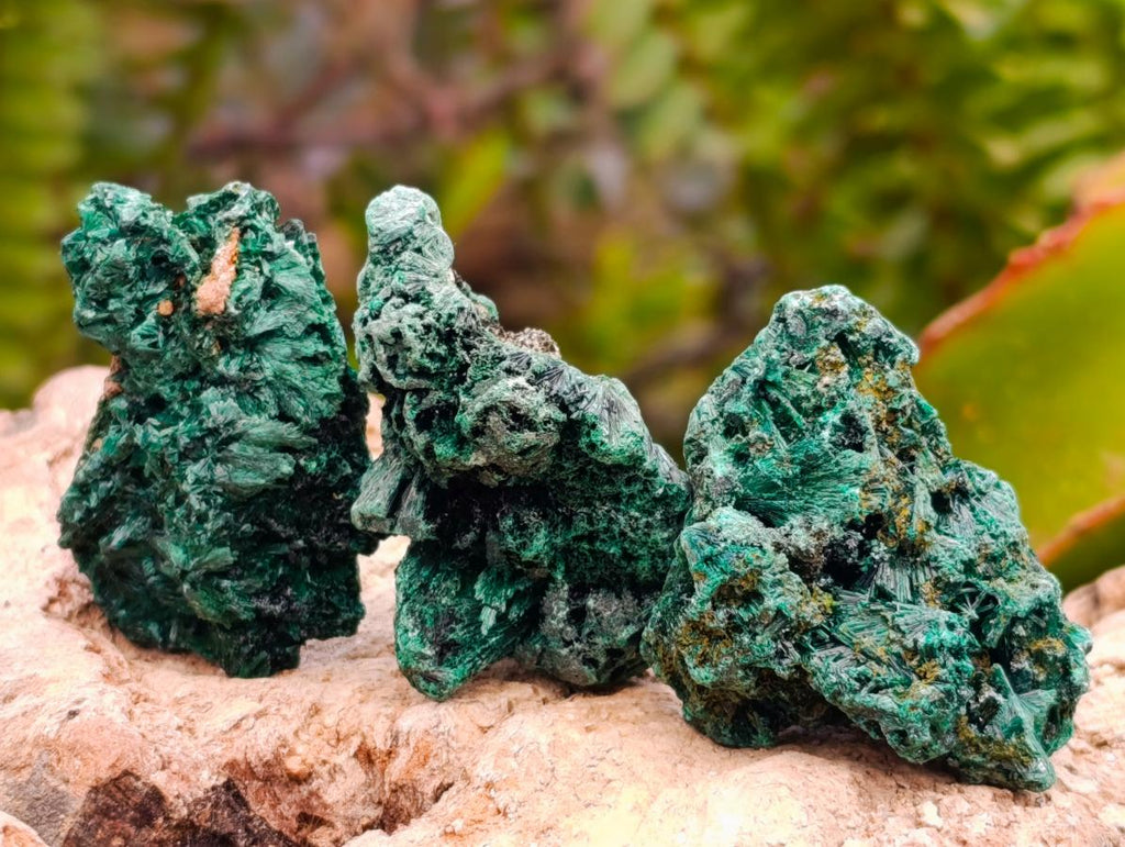 Natural Silky Malachite Specimens x 37 From Kasompe, Congo