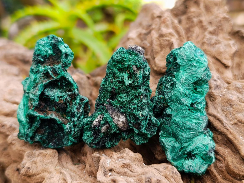 Natural Silky Malachite Specimens x 37 From Kasompe, Congo