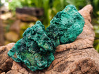 Natural Silky Malachite Specimens x 37 From Kasompe, Congo