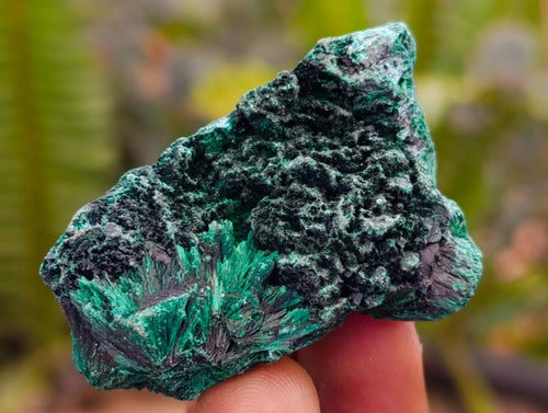 Natural Silky Malachite Specimens x 37 From Kasompe, Congo