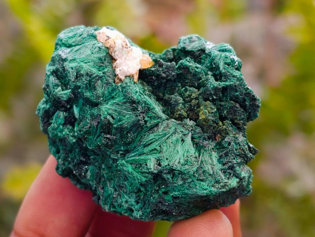 Natural Silky Malachite Specimens x 37 From Kasompe, Congo